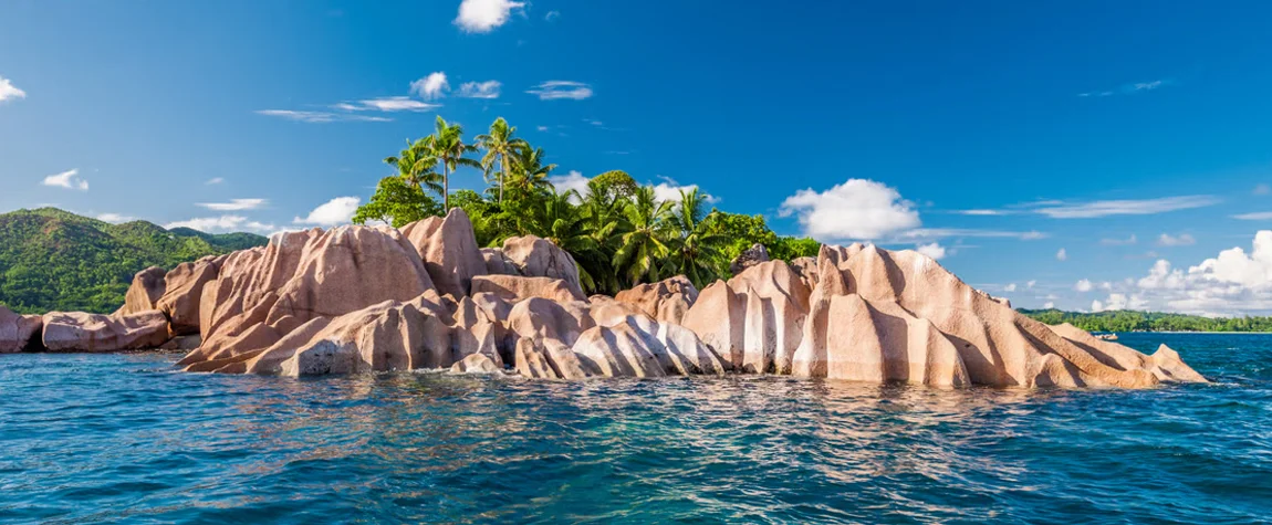 https://siddvoyage.com/
