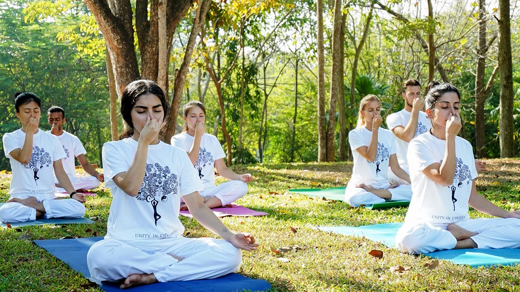 https://siddvoyage.com/