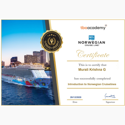 Siddhartha Voyage Solutions